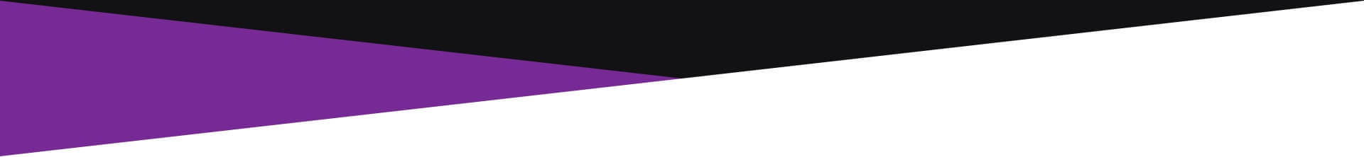 Banner Divider Black Purple