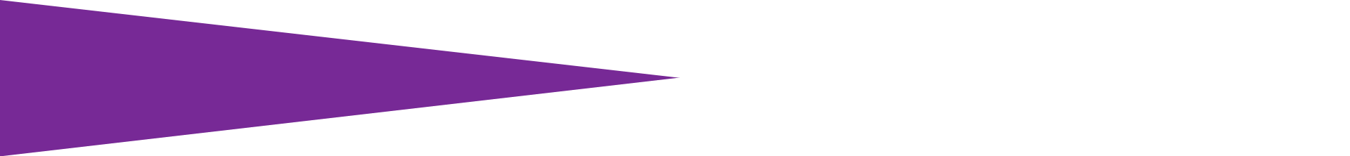 Banner Divider Purple Banner Divider Purple